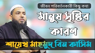 🚫 মানুষ সৃষ্টির আসল কারণ.!? শায়খ মাহমুদ বিন কাসিম। সত্য পথ