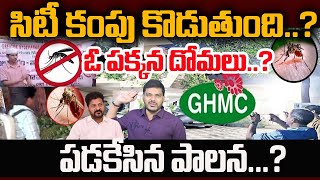 Puplic In Panic With Increase Of Mosquitoes Population In Hyderabad | YR TV Telugu