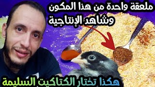 💥سر في مكون طبيعي💥ملعقة يومية تساوي شراهة في الأكل🐓ونمو سريع🐤 وإنتاج البيض وفير💵 هكذا تختار كتكوت🐤