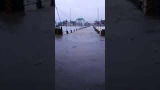 Pattambi flood Bridge 2018