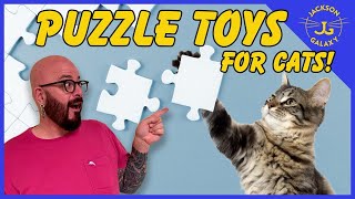 Puzzle Toys for Cats: Everything You Need to Know!