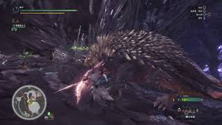 MHW 弓 vs 滅盡龍（滑步流)