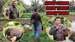 Masih Masang Racik Tekukur Ini Sudah Turun || Kawan Dapat Burung Bertali