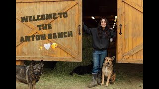 Rainy Day at the Ranch ☔️🐴✨