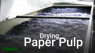 Drying Paper Pulp for Animal Bedding