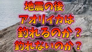 【ヤエン釣り】2022年1月22日高知県宿毛市沖磯