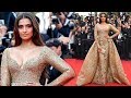 Sonam Kapoor's Choice Of Dress At Cannes 2017 Red Carpet CONFUSED Us