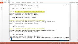 05 Understanding git log format