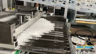 Plastic Cup Thermoforming Machine with belt type stacking machine