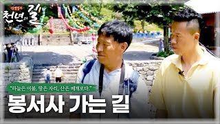 [신정일의 천년의 길] 봉서사 가는 길