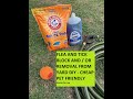 Flea and Tick In your yard Killer / Preventer DIY Cheap- works for me -👉CHECK SAFETY IN DESCRIPTION