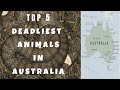 Top 5 Deadliest Animals in Australia😫🤬#deadly #australiananimals