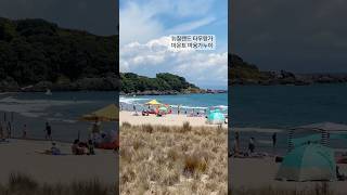 뉴질랜드 타우랑가의 마운트 마웅가누이 (Mount Maunganui Beach) #뉴질랜드여행 #뉴질랜드 #타우랑가 #뉴질랜드이민 #뉴질랜드조기유학 #유학도시