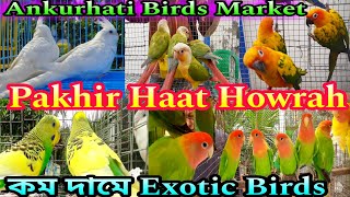 Ankurhati Bird Market | অঙ্কুরহাটি পশুপাখির হাট |  Ankurhati Pet Market | Howrah Pet Market | Bird