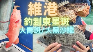 天氣好差超大風,又再釣維港😎維港東星斑🤣2斤大黑沙鱲🤣3斤大青斑~fishcutting香港海鮮~社長遊街市Seafood