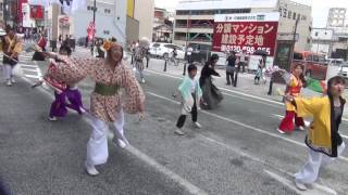 黒崎よさこい祭り ふくこい踊り隊