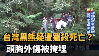 台灣黑熊疑遭獵殺死亡？　頭胸外傷被掩埋－民視新聞