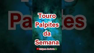 NÚMEROS DA SORTE TOURO #númerosdasorte