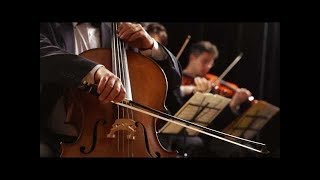 String Quartet - Classical Violin, Cello and Viola Music 10 Hours -Best Relaxing Music