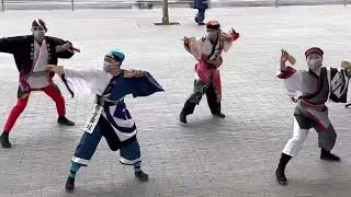 國士舞双　1部 サクラタウンよさこい〜春の特別祭〜