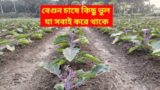 বেগুন চাষ||বেগুন চাষের যে ভুলগুলো মানুষ সাধারণত করে থেকে।।Eggplants