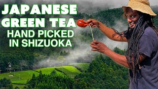 How Japanese Green Tea is Made