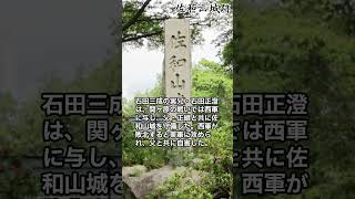 1分で石田三成一族の関ヶ原の戦い後【どうする家康】