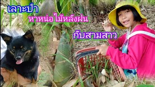 เลาะป่า หาหน่อไม้หลังฝน กับสามสาว / ตุ้มแพรว พาเพลิน EP.56