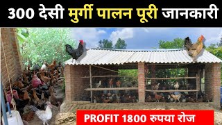 300 देसी मुर्गी पालकर 1800 रोज के कमाई | Desi murgi palan kaise karen #sonalimurgipalan #murgifarm