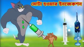 Tom and Jerry | Tom and Jerry Bangla | cartoon | Tom and Jerry cartoon | Bangla Tom and Jerry