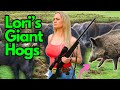 She Goes WILD HOG HUNTING. Biggest Hogs Ever Seen!