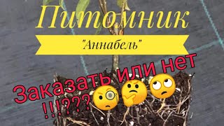 Питомник \