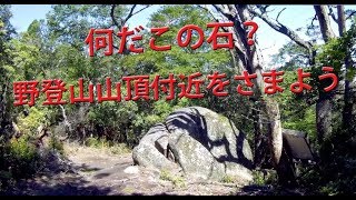 野登山を彷徨 前編【モトブログ】変態バイカーが山中をさまよい歩く