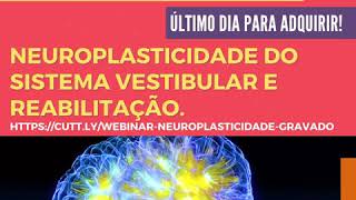 Webinar Gravado dia 25/07/2020: Neuroplasticidade do Sistema Vestibular e Reabilitação