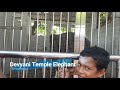 a road trip to tiruchendur murugan temple tamilnadu south india temple travel