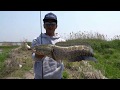 Snakehead fishing in China with Gong Lei