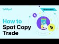 Step-by-Step Spot Copy Trading Tutorial | Bitget Guides