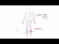 lymphedema explained