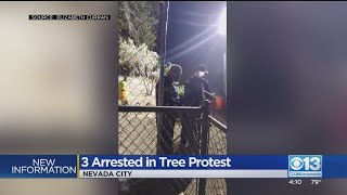 3 Arrested After Protesting PG\u0026E Plans To Cut Down Trees In Nevada City