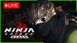 I am THE MASTER NINJA (Ninja Gaiden 2 Black)