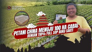 MENUJU 100 HEKTARE CABAI, CHINEESE LIRIK DUNIA PERTANIAN!!