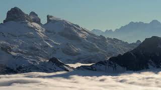 Serenity in Nature: A Journey Through Lush Landscapes