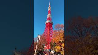 死ぬまでに行きたい絶景スポット【東京都版】#PR #shorts #絶景 #東京 #東京観光 #旅行vlog #旅行 #tokyo #観光