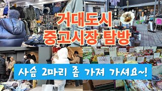 거대한 중고시장을 탐방 ~^ 힐링여행