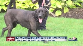 Electronics-sniffing K-9 helped police catch Jared Fogle