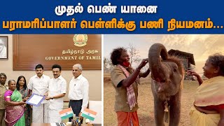 முதல் பெண் யானை பராமரிப்பாளர் பெள்ளி பணி நியமனம்..