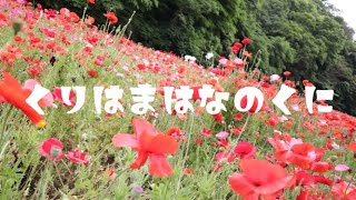 くりはま花の国【Vlog】Kurihama Flower world