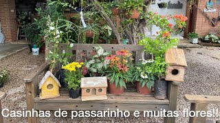 Comprei flores pra fazer topiários, e muitas casinhas novas na decoração do jardim!!