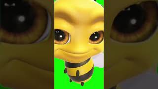 Bee Raising Eyebrows Green Scren