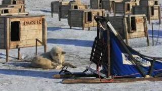 Spitsbergen 2010.m4v